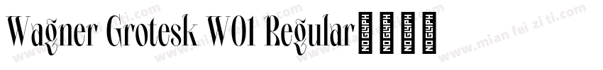 Wagner Grotesk W01 Regular字体转换